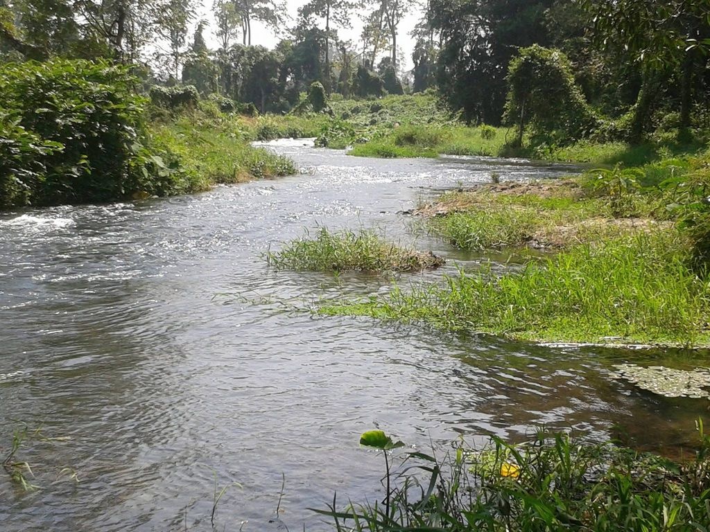 Dòng Sêrêpôk êm đềm chảy qua rừng tự nhiên — nơi cung trekking bám theo