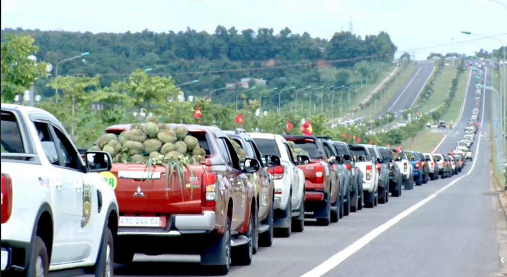 Đoàn 525 xe bán tải chở sầu riêng nối dài trên đường về Buôn Ma Thuột