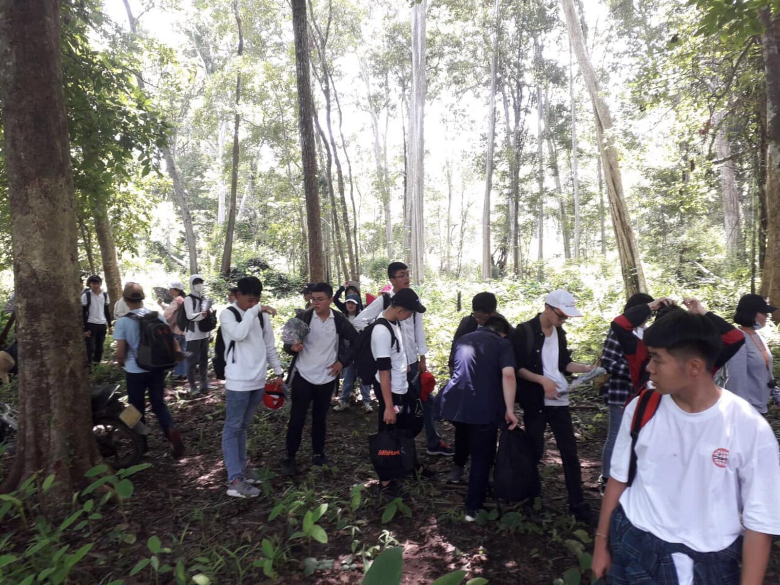 Top trekking Đắk Lắk — 5 cung đường cho dân phượt Tây Nguyên