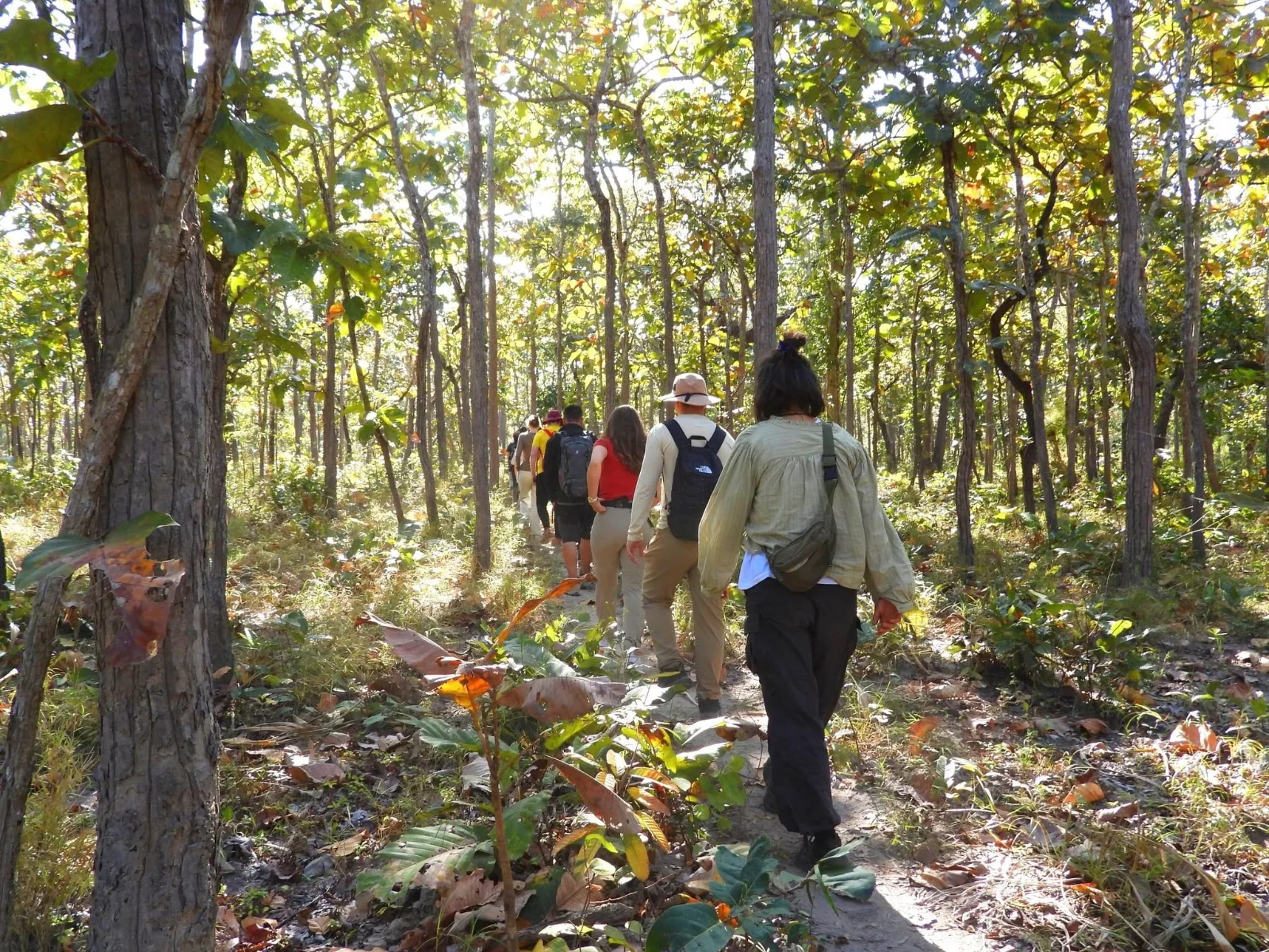 Người trekking ngắm thiên nhiên
